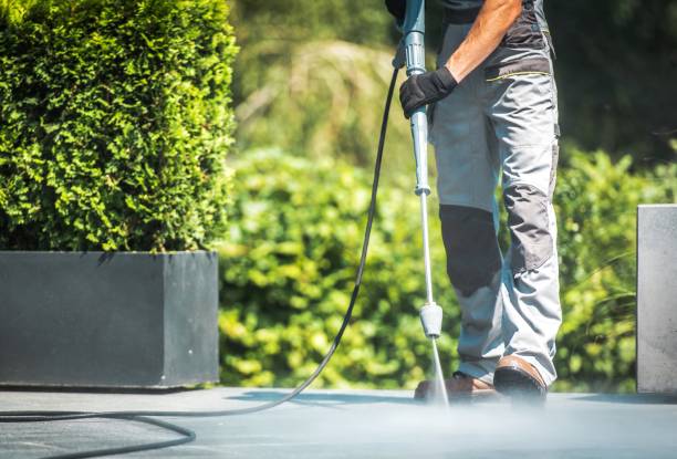 Best Vinyl Siding Pressure Washing in East Foothills, CA